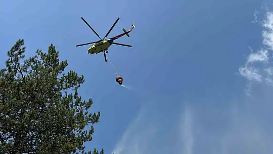 Bolu'daki orman yangını kısa sürede kontrol altına alındı