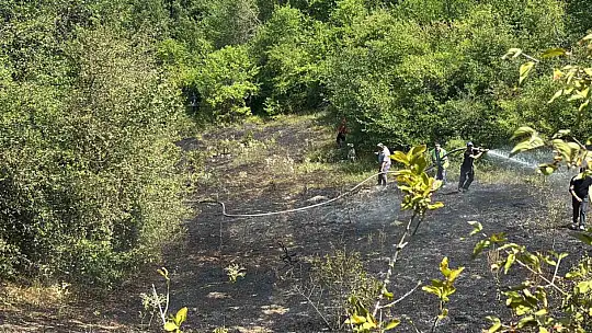 Bolu'daki orman yangını kısa sürede kontrol altına alındı