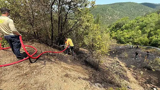 Bolu'daki orman yangını kısa sürede kontrol altına alındı