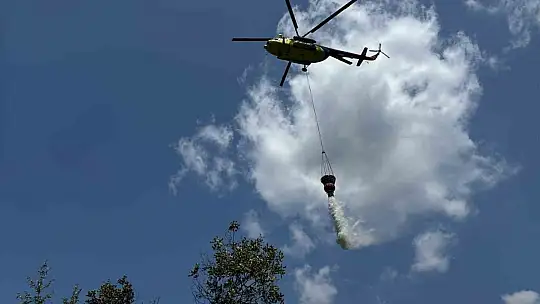 Bolu'daki orman yangını kısa sürede kontrol altına alındı