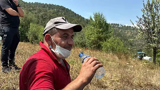 Bolu'daki orman yangını kısa sürede kontrol altına alındı