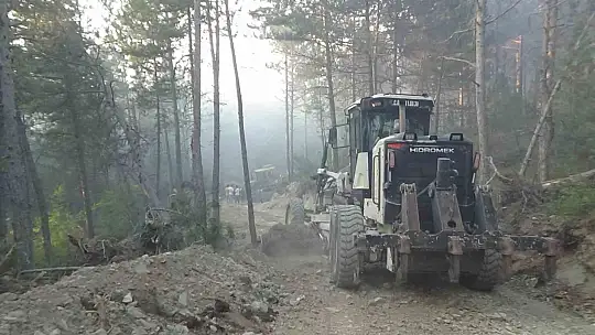 Bolu'daki orman yangını kısmen kontrol altında: 2 gözaltı