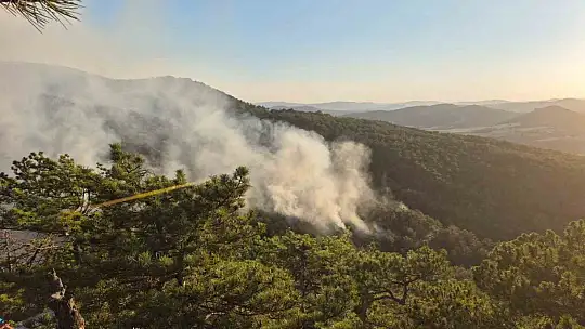 Bolu'daki orman yangını kontrol altına alındı