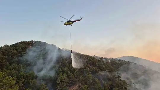 Bolu'daki orman yangını kontrol altına alındı