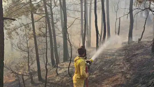 Bolu'daki orman yangınına havadan ve karadan müdahale sürüyor