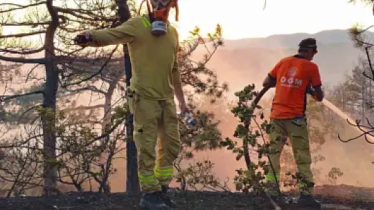 Bolu'daki orman yangınına havadan ve karadan müdahale sürüyor