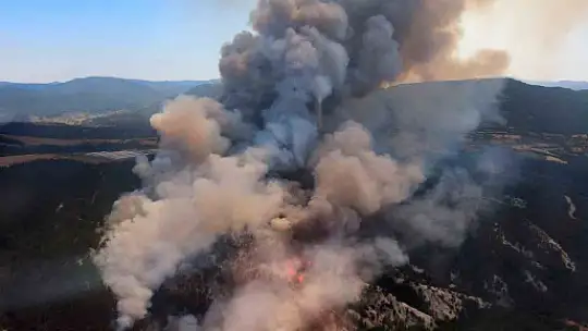 Bolu'daki orman yangınına müdahale sürüyor