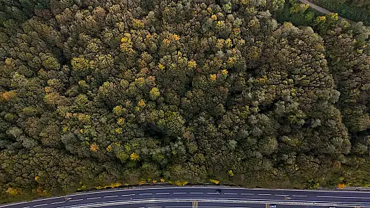 Bolu geçişinde ağaçlar sarı, turuncu ve kızıl tonlara büründü