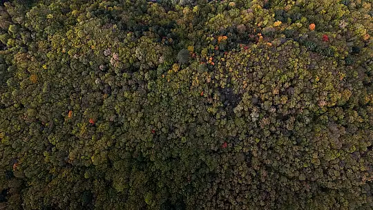 Bolu geçişinde ağaçlar sarı, turuncu ve kızıl tonlara büründü