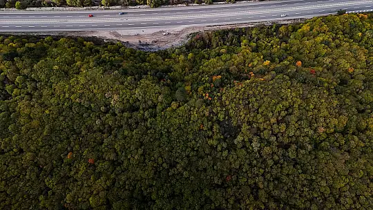 Bolu geçişinde ağaçlar sarı, turuncu ve kızıl tonlara büründü