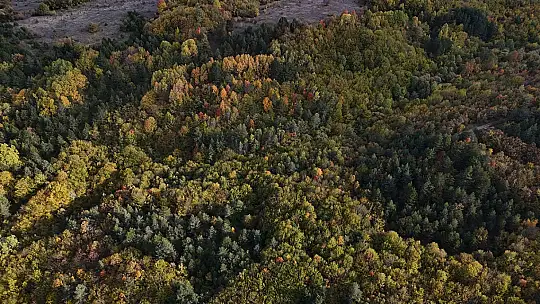 Bolu geçişinde ağaçlar sarı, turuncu ve kızıl tonlara büründü