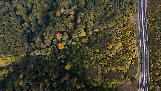 Bolu geçişinde ağaçlar sarı, turuncu ve kızıl tonlara büründü