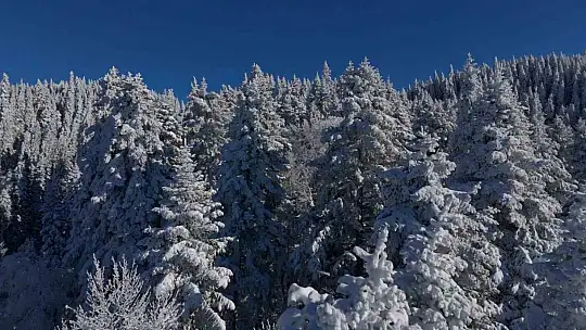Bolu'nun dağlarında eşsiz manzara