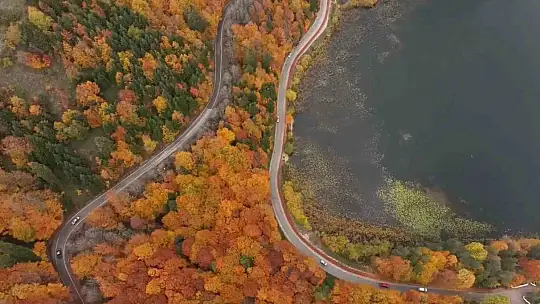 Bolu'nun doğa harikası Abant'ta ziyaretçiler akın etti
