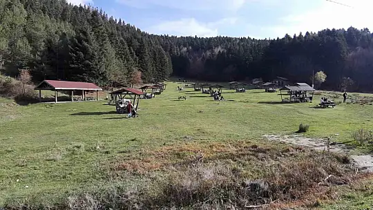 Bolu'nun doğa harikası Abant'ta ziyaretçiler akın etti