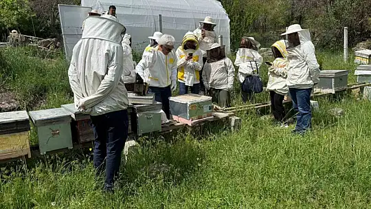 Bolu'nun dört bir yanından arı kursuna yoğun ilgi