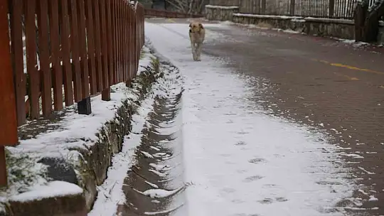 Bolu'nun incisi beyaz örtüyle kaplandı