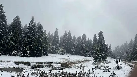 Bolu'nun yüksekleri beyaz örtüyle kaplandı