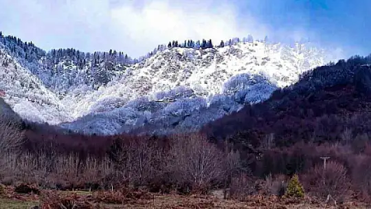 Bolu'nun yüksekleri beyaz örtüyle kaplandı