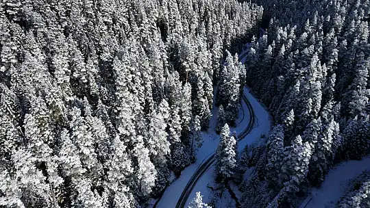 Bolu'nun yüksekleri beyaza büründü