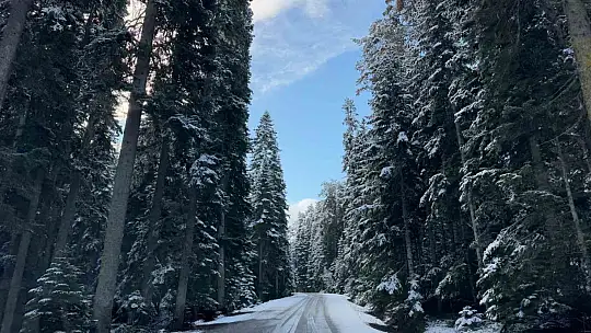 Bolu'nun yüksekleri beyaza büründü