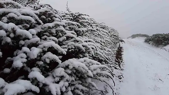 Bolu'nun yükseklerinde kar kalınlığı 5 santimetreye ulaştı