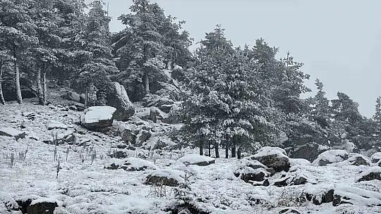 Bolu'nun yükseklerinde kar yağışı etkili oluyor