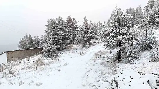 Bolu'nun yükseklerinde kar yağışı etkili oluyor