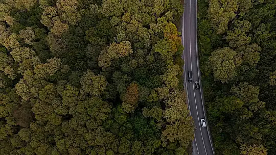 Bolu-Seben yolunda muhteşem sonbahar güzelliği