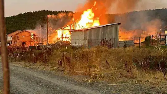 Bolu Valiliği açıkladı, yayla evleri elektrik kaçağından yanmış