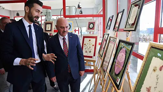 Botanik bahçenin çiçekleri sergisi beğeniye sunuldu