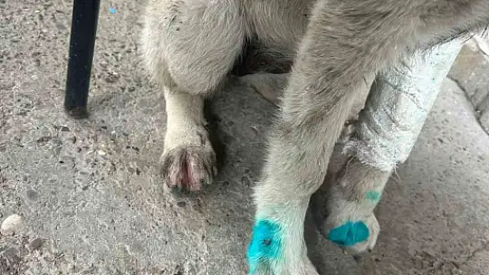 Alkollü şahıs dehşet saçtı