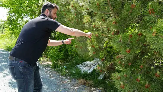 Bu proje astım hastası ve polen alerjisi olanların hayatını kolaylaştırıyor