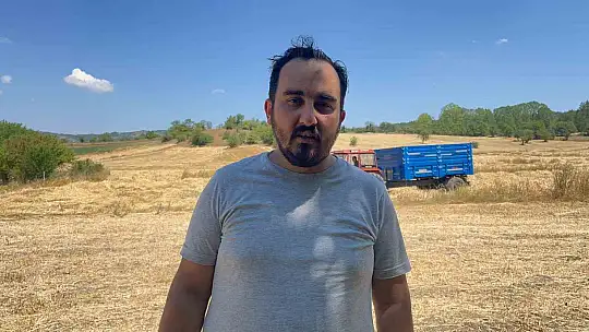 Buğdayın atası 'siyez'de hasat dönemi başladı