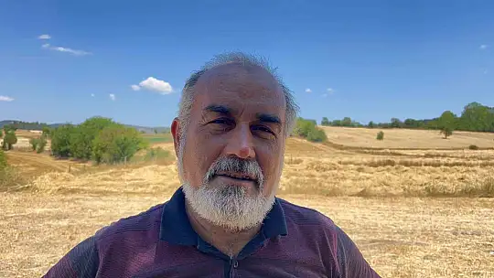 Buğdayın atası 'siyez'de hasat dönemi başladı
