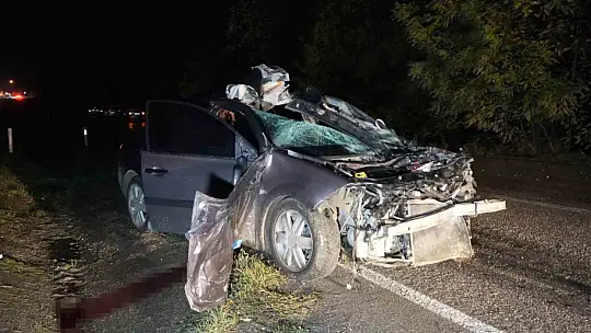 Büyükbaş hayvana çarpan otomobilin sürücüsü hayatını kaybetti