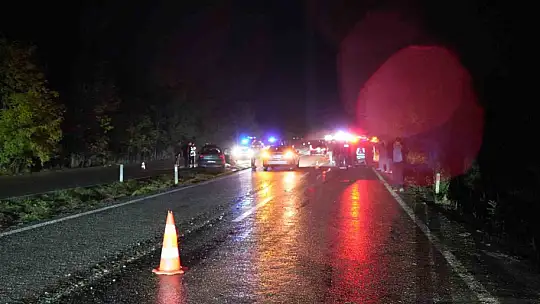 Büyükbaş hayvana çarpan otomobilin sürücüsü hayatını kaybetti