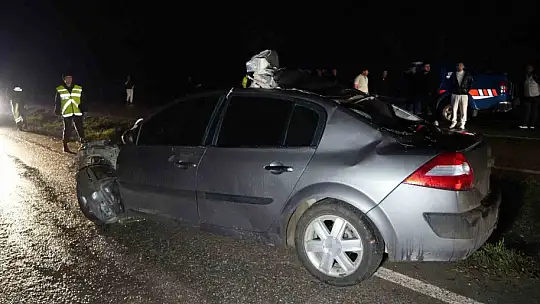 Büyükbaş hayvana çarpan otomobilin sürücüsü hayatını kaybetti