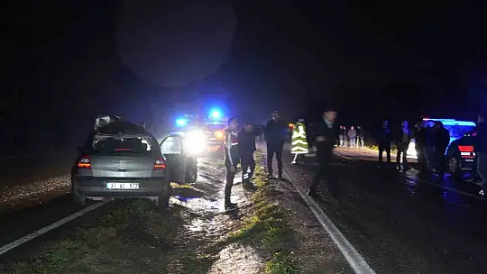 Büyükbaş hayvana çarpan otomobilin sürücüsü hayatını kaybetti