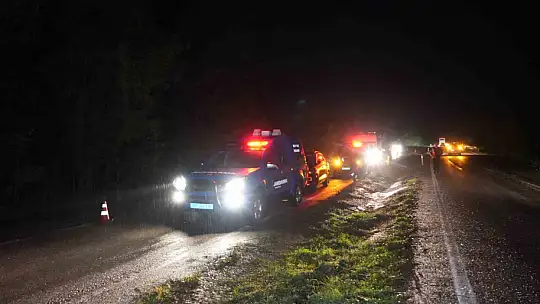 Büyükbaş hayvana çarpan otomobilin sürücüsü hayatını kaybetti
