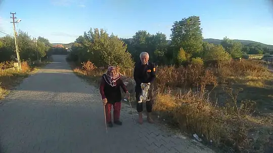 Çaya düşen engelli kediyi itfaiye kurtardı