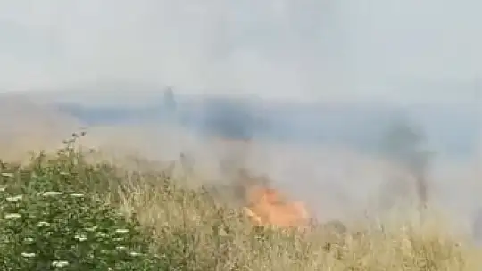 Çaycuma'da örtü yangını korkuttu