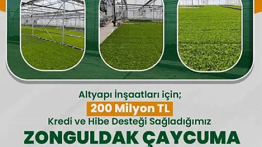 Çaycuma'da Sera Organize Sanayi Bölgesi üretime başladı