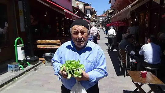 Çiftçilere 10 bin marul fidesi dağıtıldı