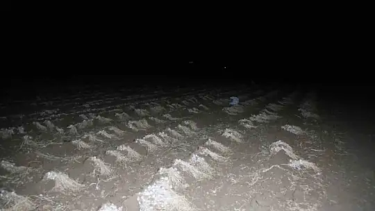 Çiftçilerin Beyaz Altın Nöbeti