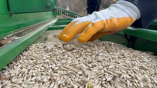 Çiftçilerin ekim mesaisi başladı, 12 bin yıllık siyez toprakla buluştu