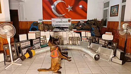 Çiftlik evlerini kenevir serasına çeviren sanıkların yargılanmasına devam edildi