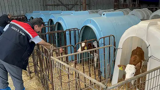 Çiftlikte teknolojiyi yenileyince üretim 2 katına çıktı