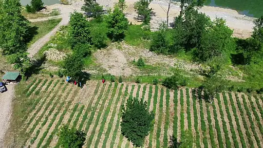 Çocuklara doğa sevgisi aşılayan etkinlik