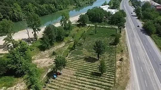 Çocuklara doğa sevgisi aşılayan etkinlik